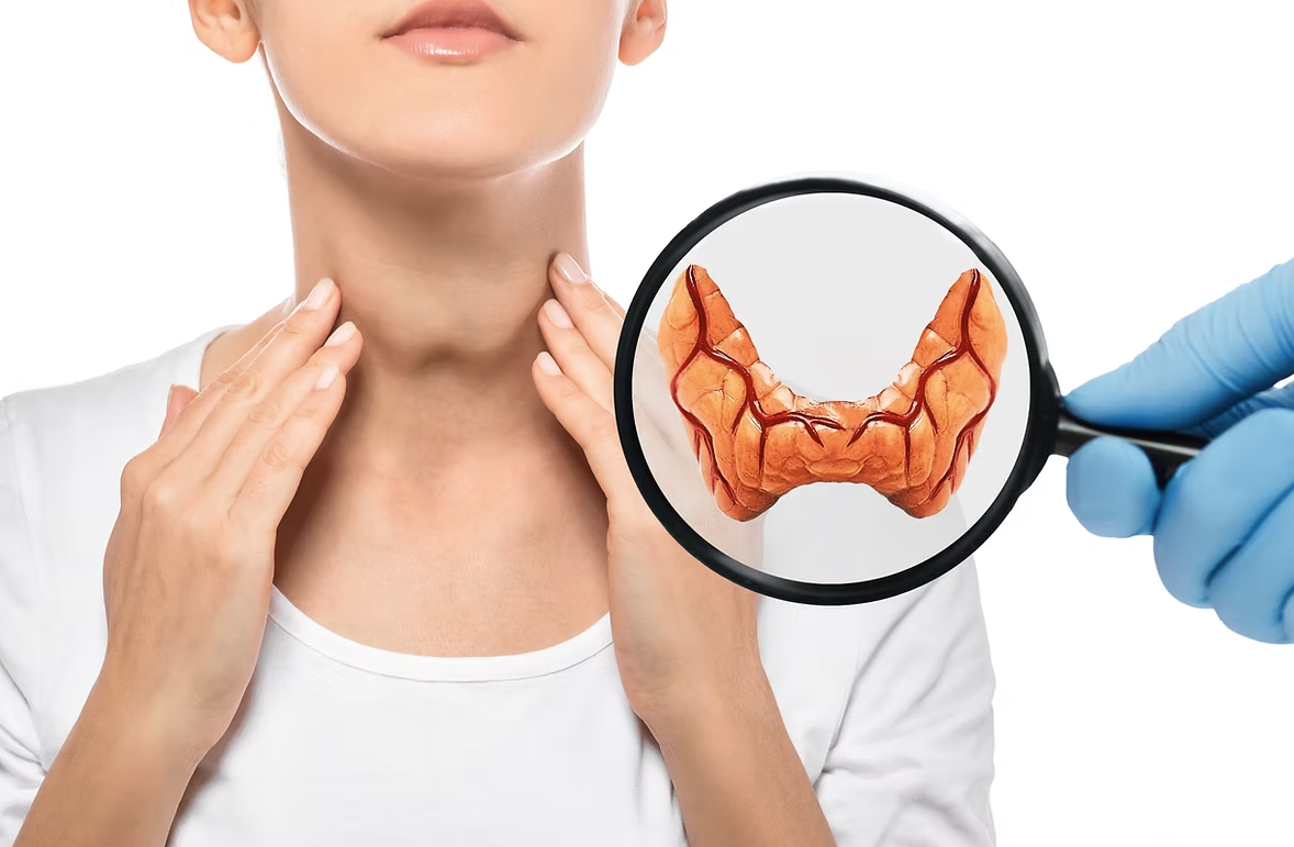 Home endocrinology houston treatment of thyroid nodules